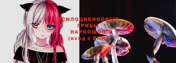 спиды Алзамай