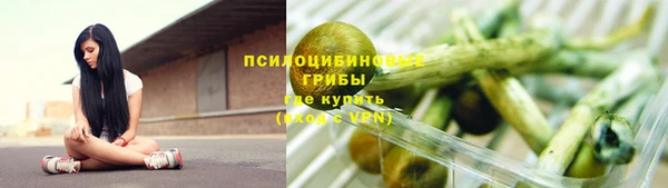 спиды Алзамай