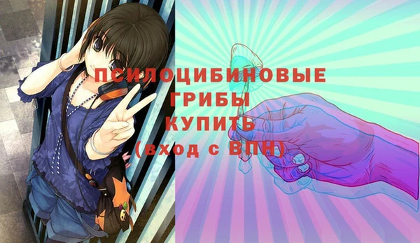 спиды Алзамай