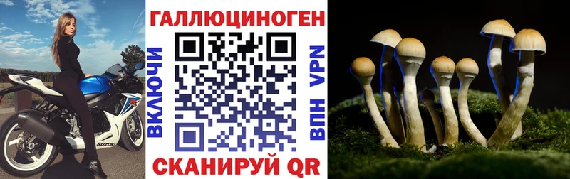 купить   Новая Ладога  Галлюциногенные грибы Magic Shrooms 